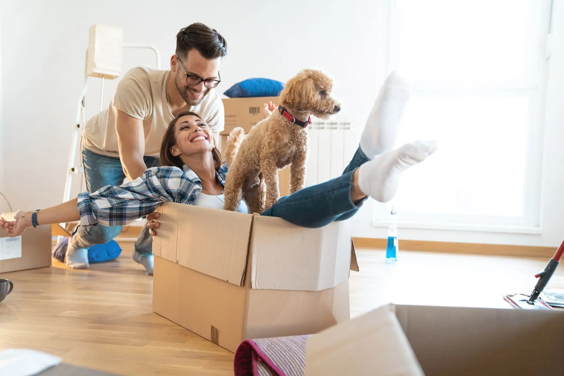 Happy Moving Day with REMBOLD A couple and their dog are having fun while packing on moving day.